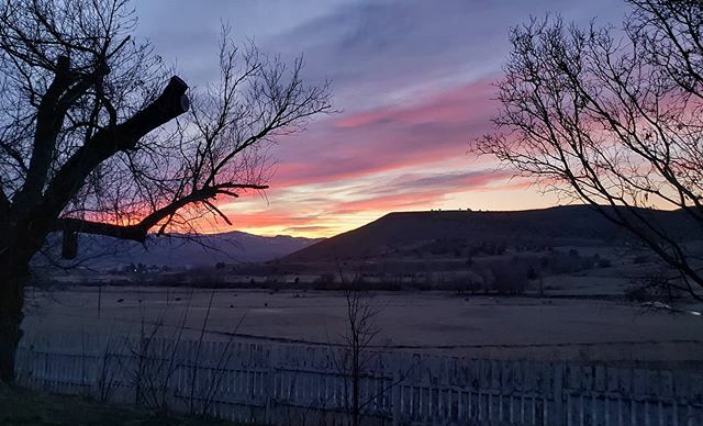 sagebrushbeyond's tweet photo. Good morning! Dawn is breaking on another beautiful Eastern Oregon day! What are your plans for the day? I'm going to do a lithe unpacking and maybe create something beautiful, we'll see how the day goes!  For now I'm going to drink my coffee and watch t… https://t.co/940Lve3rtN https://t.co/JmBki2hNq5