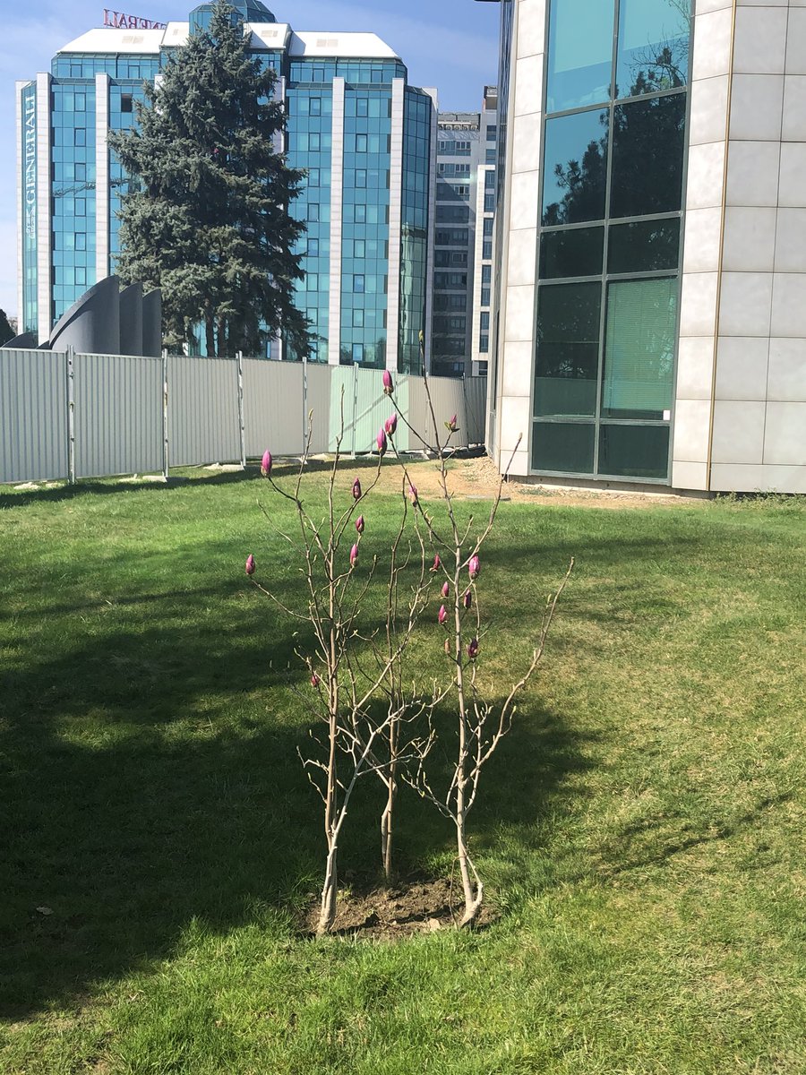 Dok nasa nova zgrada #deltahouse raste... https://t.co/ihYf24Ih3i