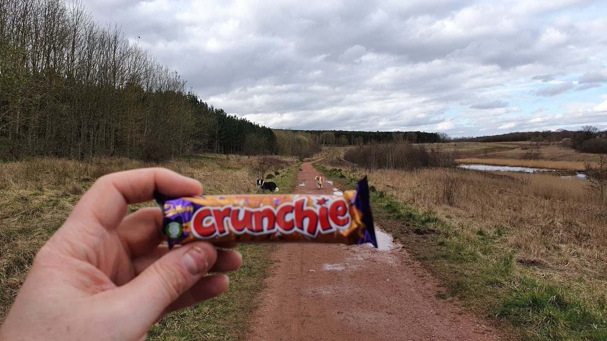dribelad's tweet photo. The dogs say "relax people its crunchie Friday hurrah" #fun4friday #mickeytakemarch #influenza #motivationalmarch #funnotfear #twonktales https://t.co/vLk3GYIYuw