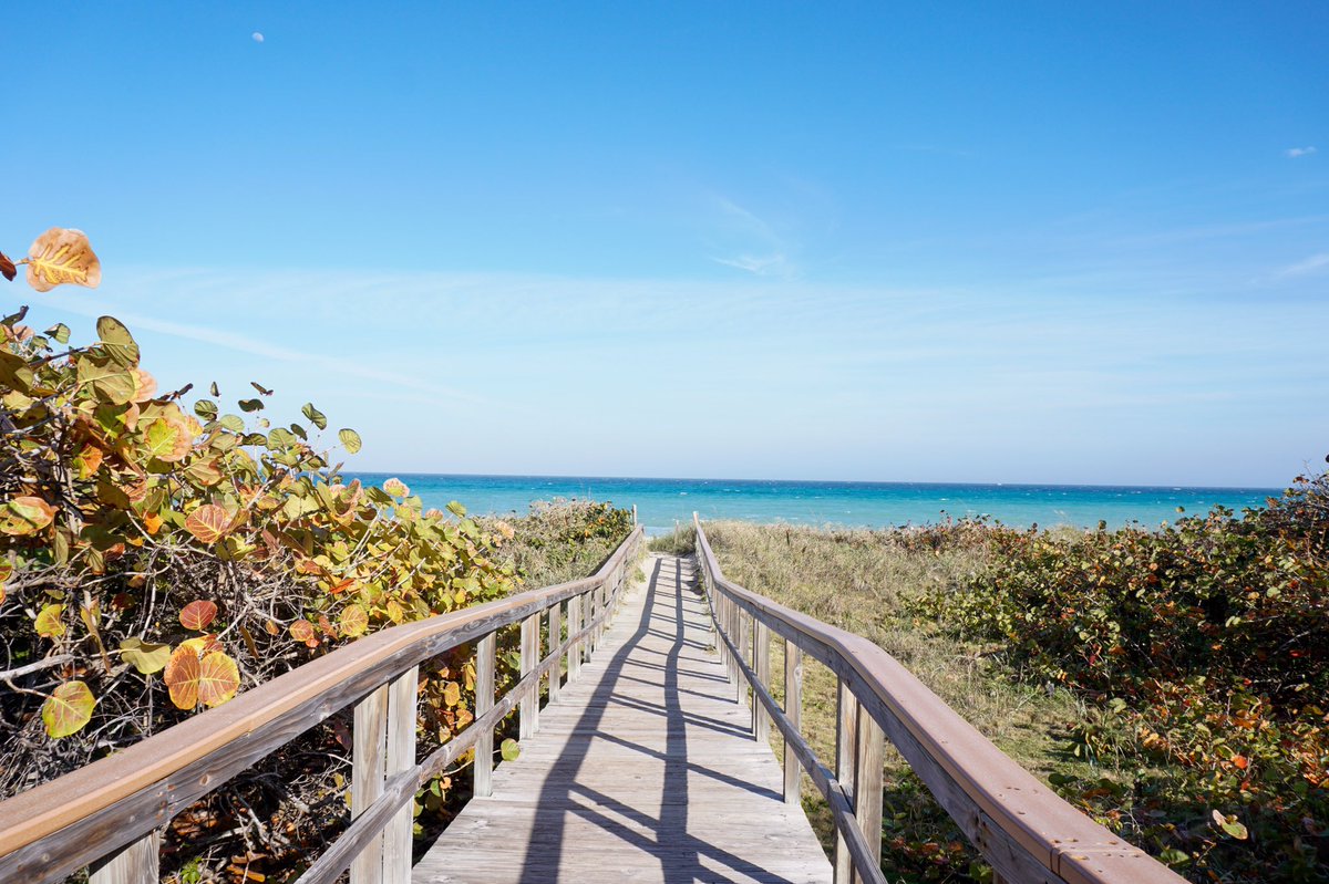 KeiserUFlagship's tweet photo. Spring break vibes...we also have this view 365 days a year ๐โ๏ธ๐ด
.
.
#springbreak #springbreak2020 #floridaspringbreak #springbreakflorida #sceneatkuflagship #KeiserUFlagship #JoinKU #KUSeahawks #SeahawkNation #WestPalmBeach #SouthFlorida #Florida https://t.co/H714so4mqC