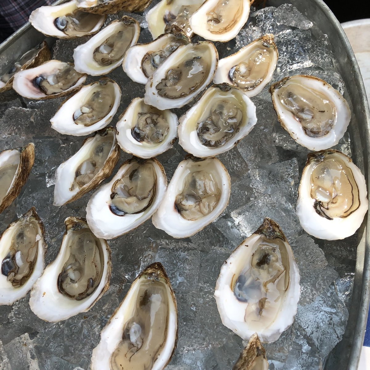 Join us TONIGHT for oyster night. This months feature is Avonlea premium oysters. Stop in while the fun lasts between 5 PM- 9 PM. See you tonight!