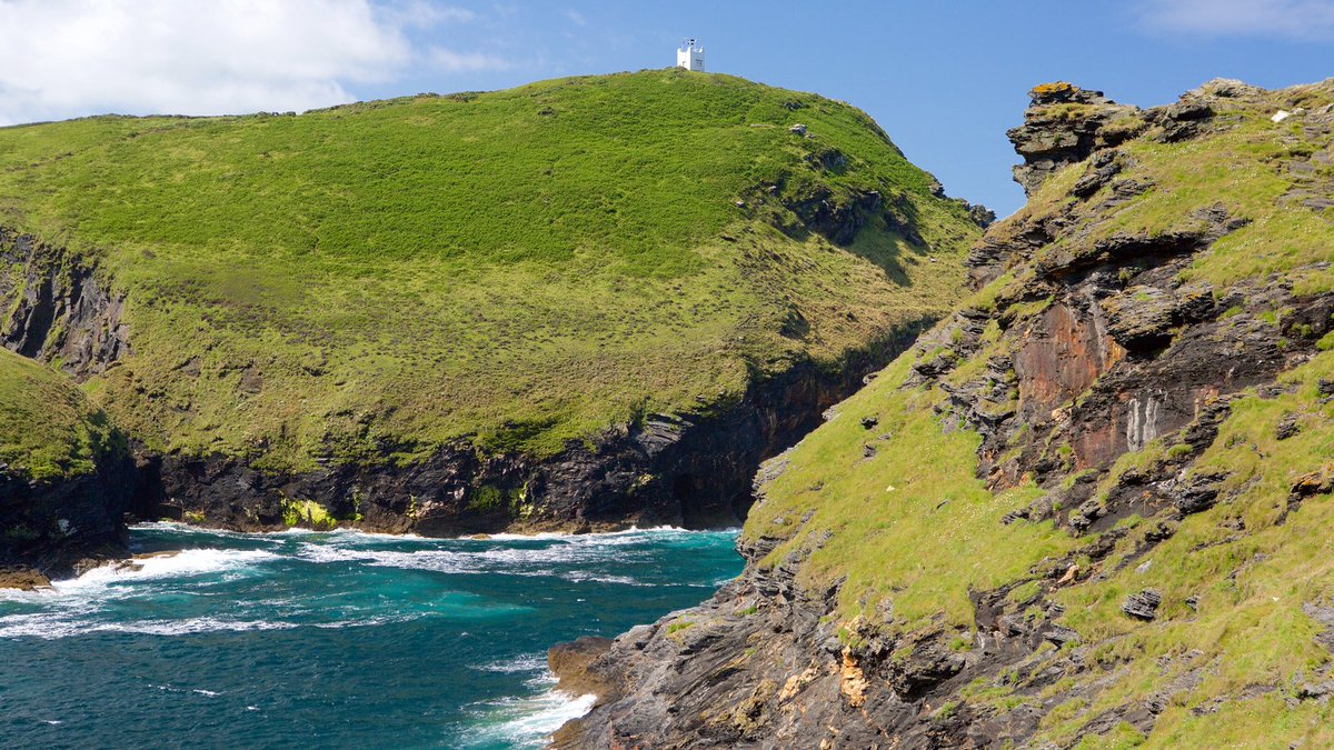 NciBoscastle's tweet photo. Looking forward to Summer? Oh, yes!!! https://t.co/tuFev7KrUr