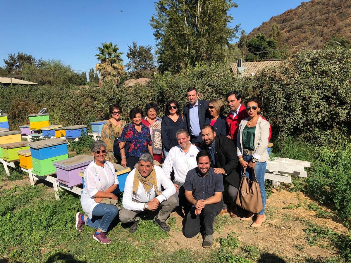 sebastiansichel's tweet photo. En San Vicente de Tagua-Tagua, estas emprendedoras apicolas nos muestran como han sacado a sus familias adelante nos hablan de que no hay edad para emprender. Especial cariño por @Beewaze2 emprendimiento tecnológico clave para proteger las abejas y apoyar la producción de miel. https://t.co/4yoJoF8fjv