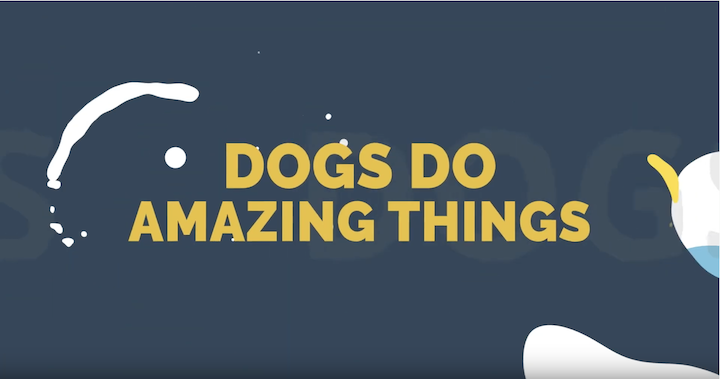 BexarFest_org's tweet image. Great job by @harlanhawkmedia #HarlanHighSchool and @bestdogsinsight #GuideDogsOfTexas on their #BexarFest 2020 video. bit.ly/3aQmxrU