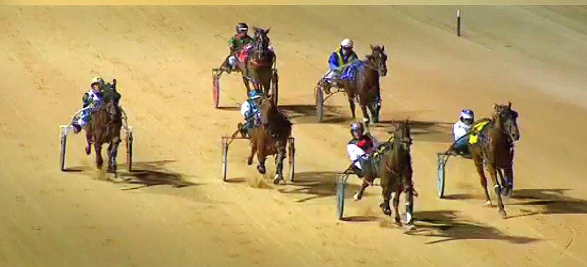 TSllinke's tweet photo. #TheQuickShadow wins the #HopkinsSaddlery Pace tonight in Race 6 👏🥳Thank you @waynehillracing and congratulations @TysonLinke 💛🖤💛 #chilleddude #sweetboy #shadowplay #jetquick https://t.co/VZH2h7NJnc
