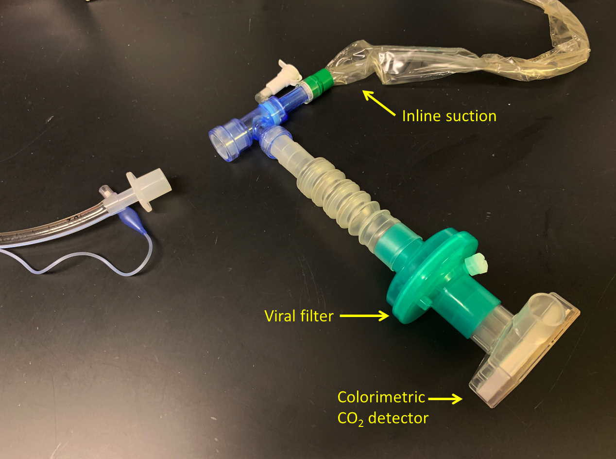Colorimetric Co2 Detector