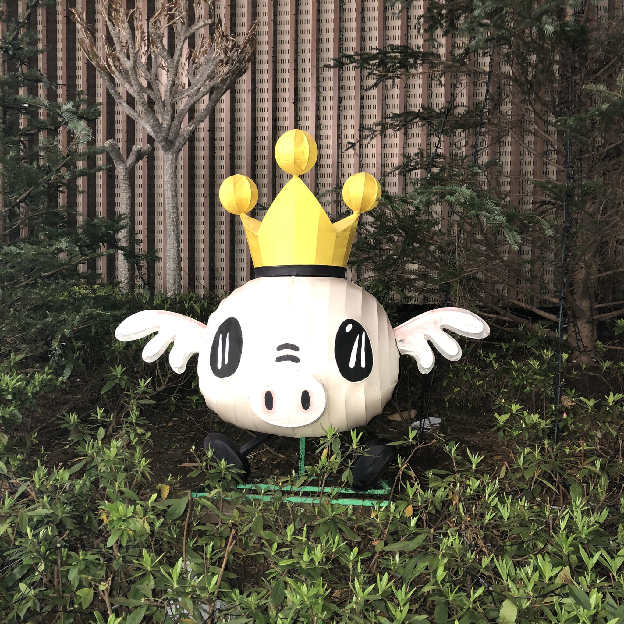 チャイニーズランタン Twitter Search Twitter