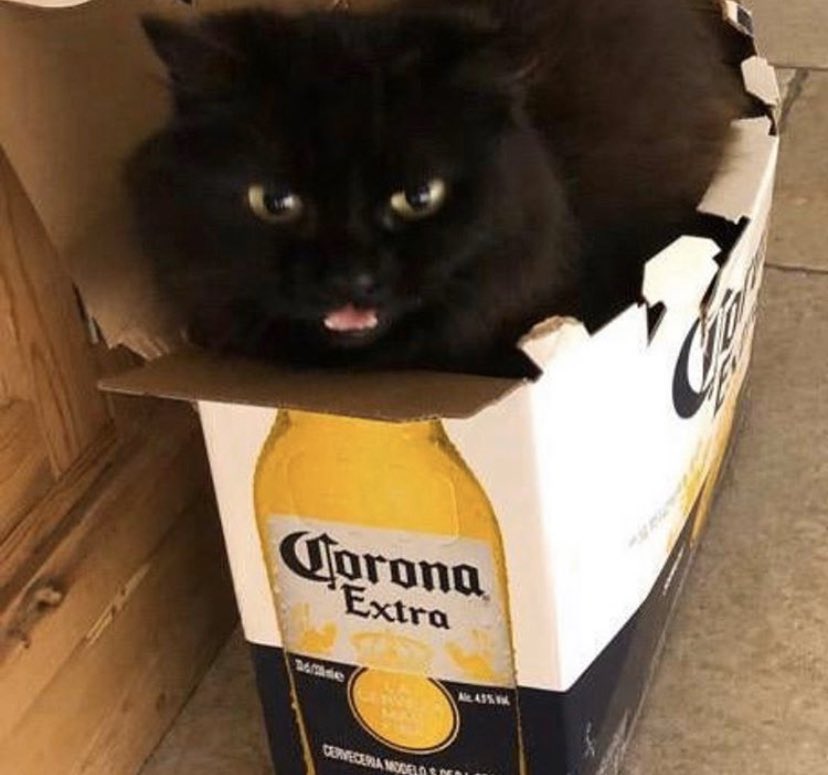 longlivekstack's tweet photo. First day of Quarantine got me like #COVID19 https://t.co/2vo3n5RbFN