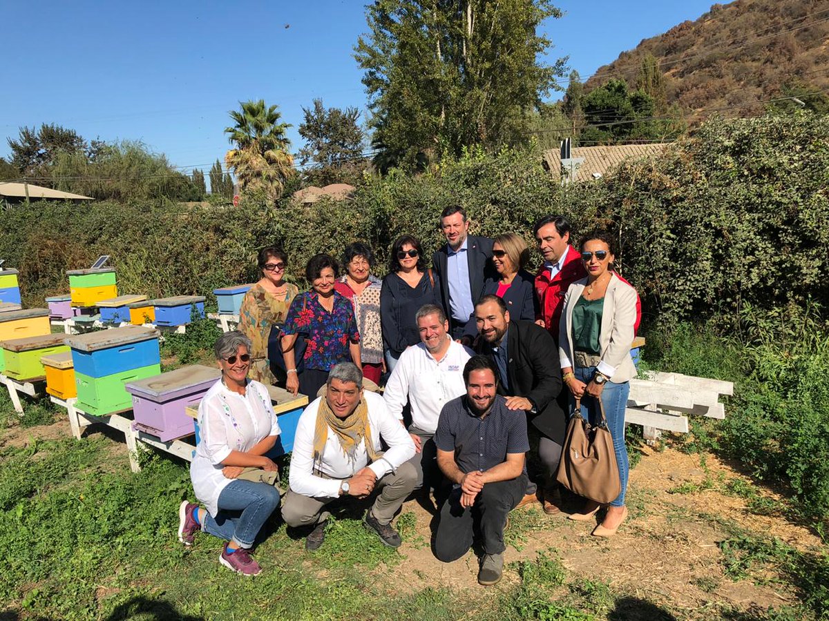 MinDesarrollo's tweet photo. #Ohiggins en San Vicente de Tagua-Tagua ministro 
@sebastiansichel y Seremi @monicatorotoro visitan el apiario de Raquel Lagos donde se implementa la tecnología del emprendimiento @Beewaze2 que monitorea de manera innovadora todos su ciclo de producción de miel de las abejas. https://t.co/7DoROU5q8b