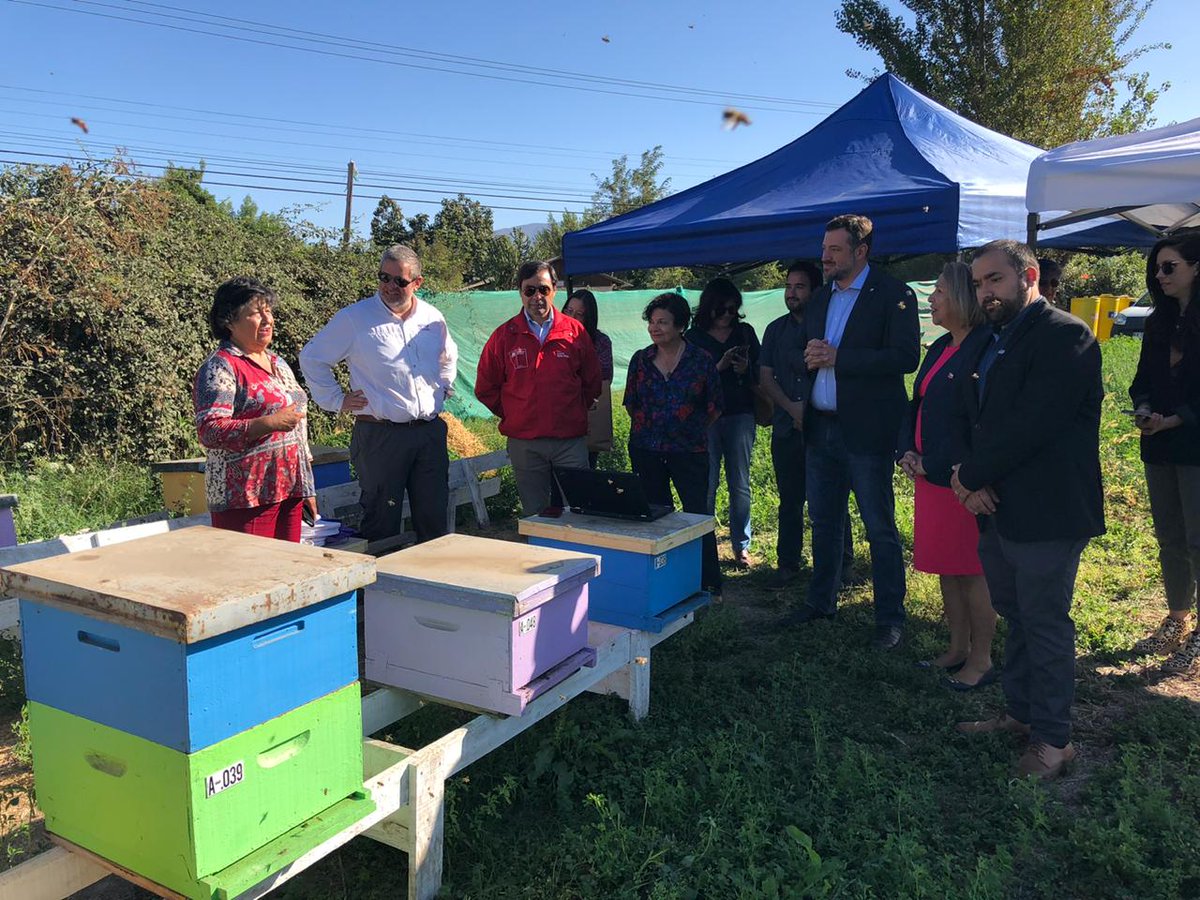 MinDesarrollo's tweet photo. #Ohiggins en San Vicente de Tagua-Tagua ministro 
@sebastiansichel y Seremi @monicatorotoro visitan el apiario de Raquel Lagos donde se implementa la tecnología del emprendimiento @Beewaze2 que monitorea de manera innovadora todos su ciclo de producción de miel de las abejas. https://t.co/7DoROU5q8b