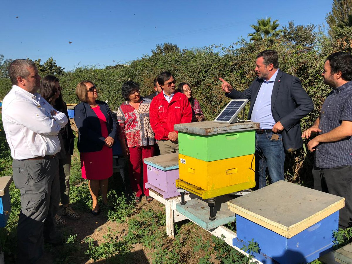 #Ohiggins en San Vicente de Tagua-Tagua ministro 
<a href="/sebastiansichel/">Sebastián Sichel</a> y Seremi <a href="/monicatorotoro/">Mónica Del Carmen Toro Toro</a> visitan el apiario de Raquel Lagos donde se implementa la tecnología del emprendimiento <a href="/Beewaze2/">Beewaze</a> que monitorea de manera innovadora todos su ciclo de producción de miel de las abejas.
