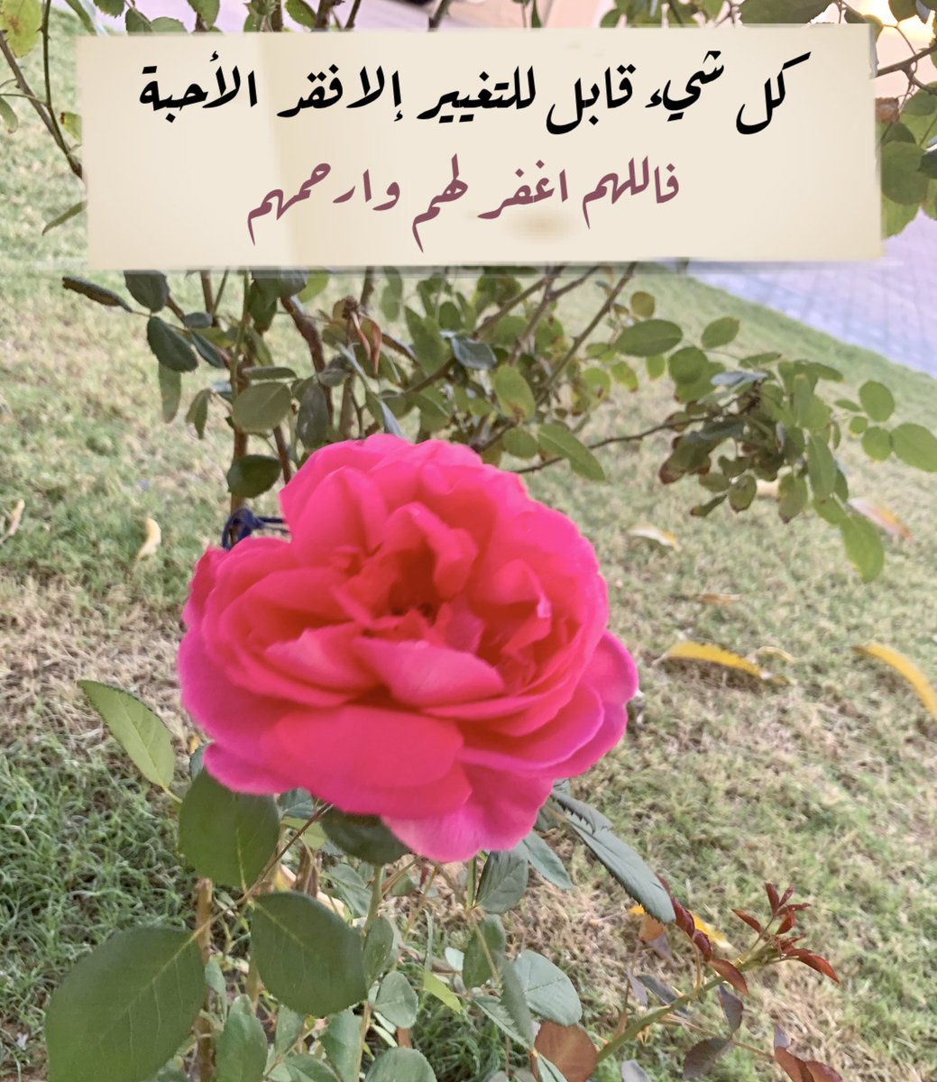 noorajassim85's tweet photo. @LailaJasim23May @jasim26Jul @For_younis_alm https://t.co/ovmHTlIR2S