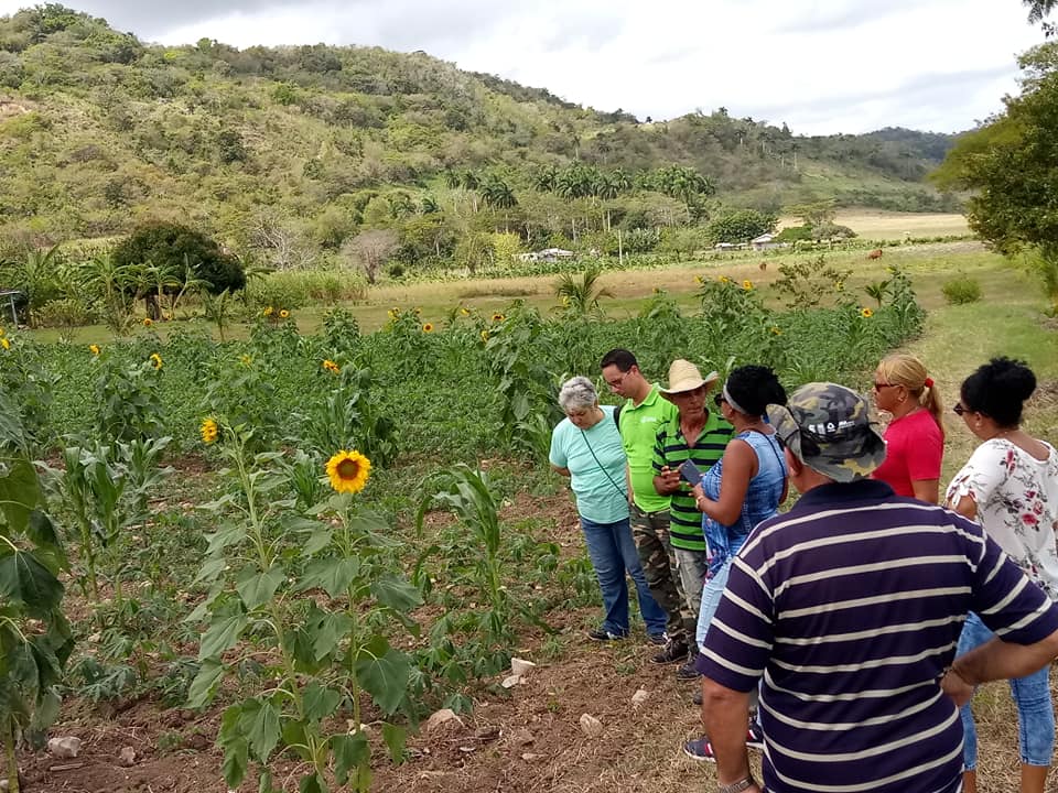 CITMA7's tweet image. Visita a la Finca Escuela con Enfoque de Paisaje Rincón los Hondones en Chambas, nos recibe el profe y productor Osveldo Gómez Reina quien todo entrega a su trabajo y a la producción sostenible con Enfoque de Paisaje #MedioAmbiente #CiegodeAvila