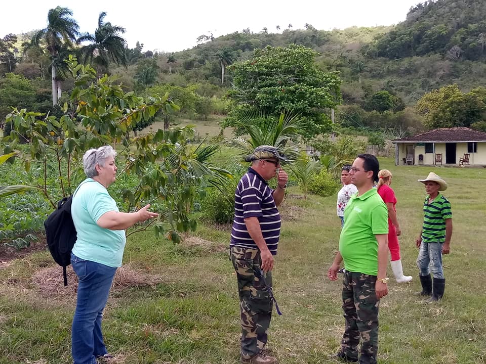 CITMA7's tweet image. Visita a la Finca Escuela con Enfoque de Paisaje Rincón los Hondones en Chambas, nos recibe el profe y productor Osveldo Gómez Reina quien todo entrega a su trabajo y a la producción sostenible con Enfoque de Paisaje #MedioAmbiente #CiegodeAvila
