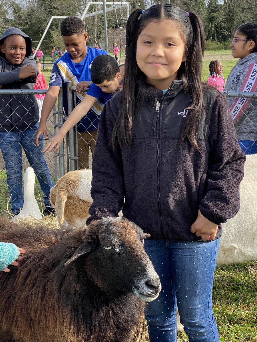 mm_sandrell's tweet photo. Career Day 2020 @mcdowell_elem https://t.co/80GCrRsIfv