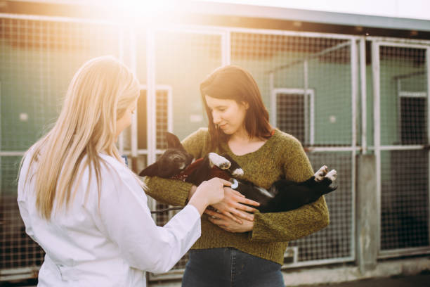 AnchorsKennel's tweet photo. At Anchors Kennel we understand that separation anxiety happens to both the pet, and to the owner. We do everything we can to minimize separation anxiety for both parties. We specialize in electronic monitoring. Learn more about us here: https://t.co/F8QkfI56kv https://t.co/wBLSQ32SQx