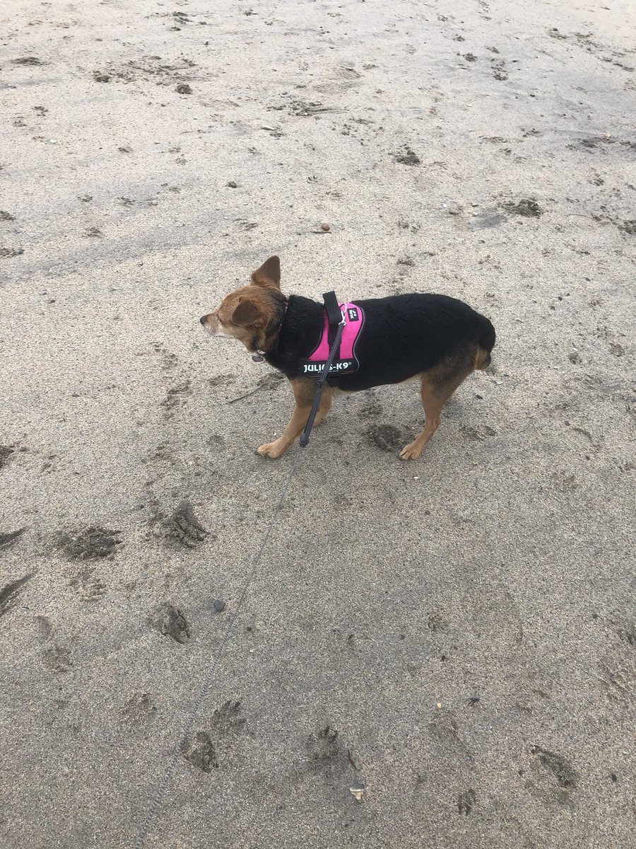 dovey_Mrs's tweet photo. First slow and careful beach walk since breaking my ankle, so good to be back at my happy place, breathing in sea air is amazing ❤️ #Cornwall #lovecornwall #parbeach #myhappyplace https://t.co/pjUFt7obEn