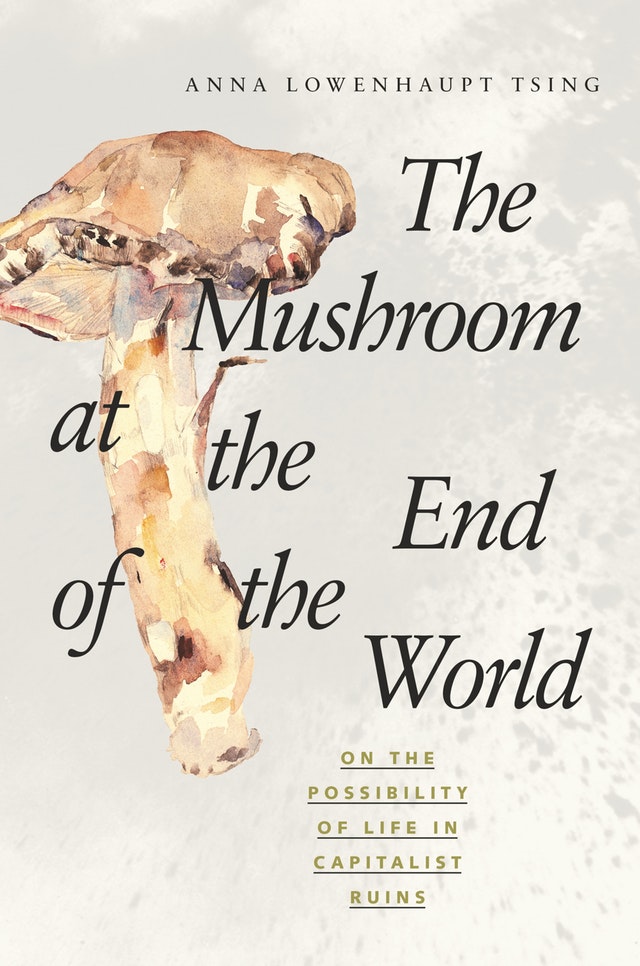 PrincetonUPress's tweet photo. The Mushroom at the End of the World by Anna Lowenhaupt Tsing is our Friday selection for #AcademicBookWeek. This book explores what a rare mushroom can teach us about sustaining life on a fragile planet. @AcBookWeek @BAbooksellers https://t.co/GG4oqrOmts