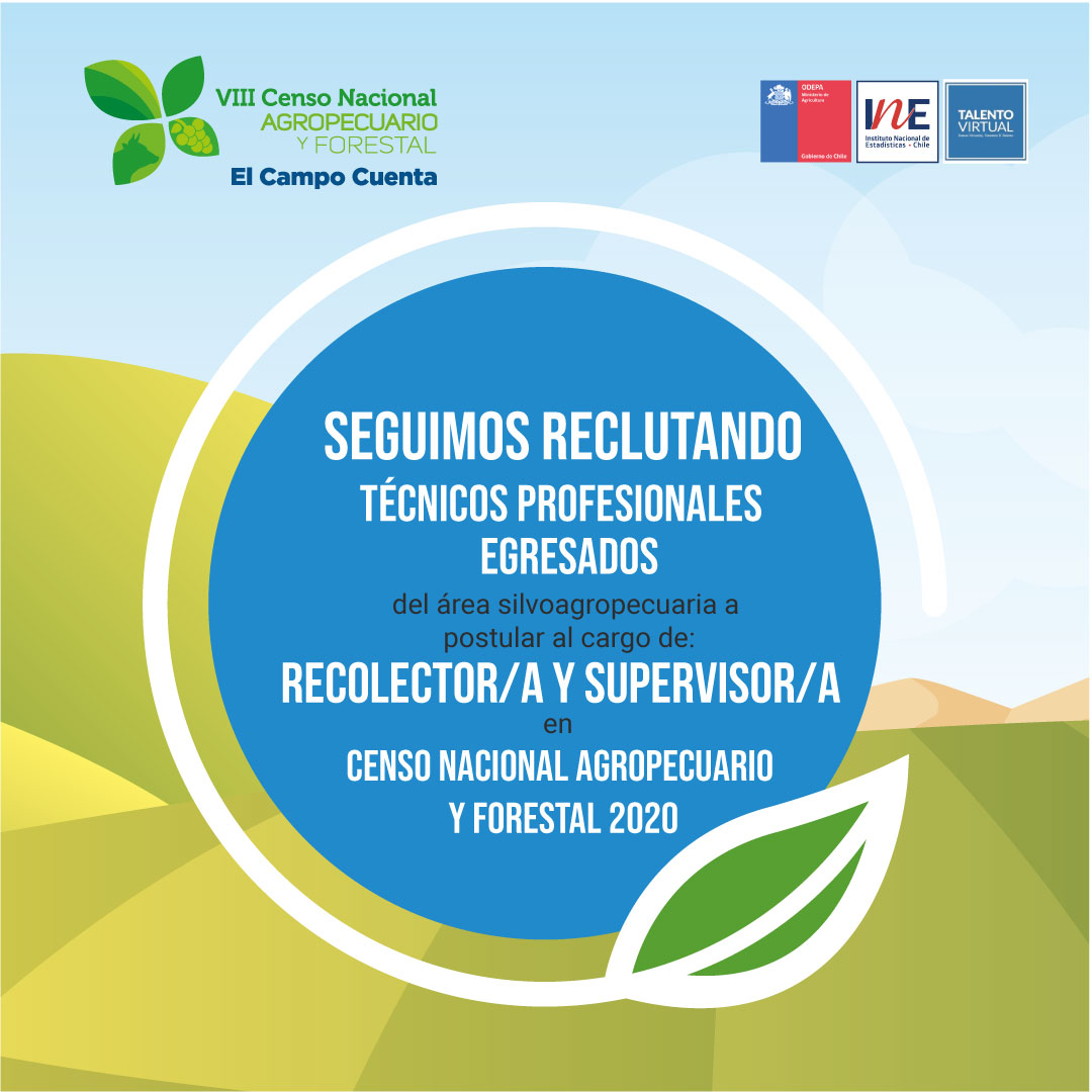 Talento Virtual tweet media