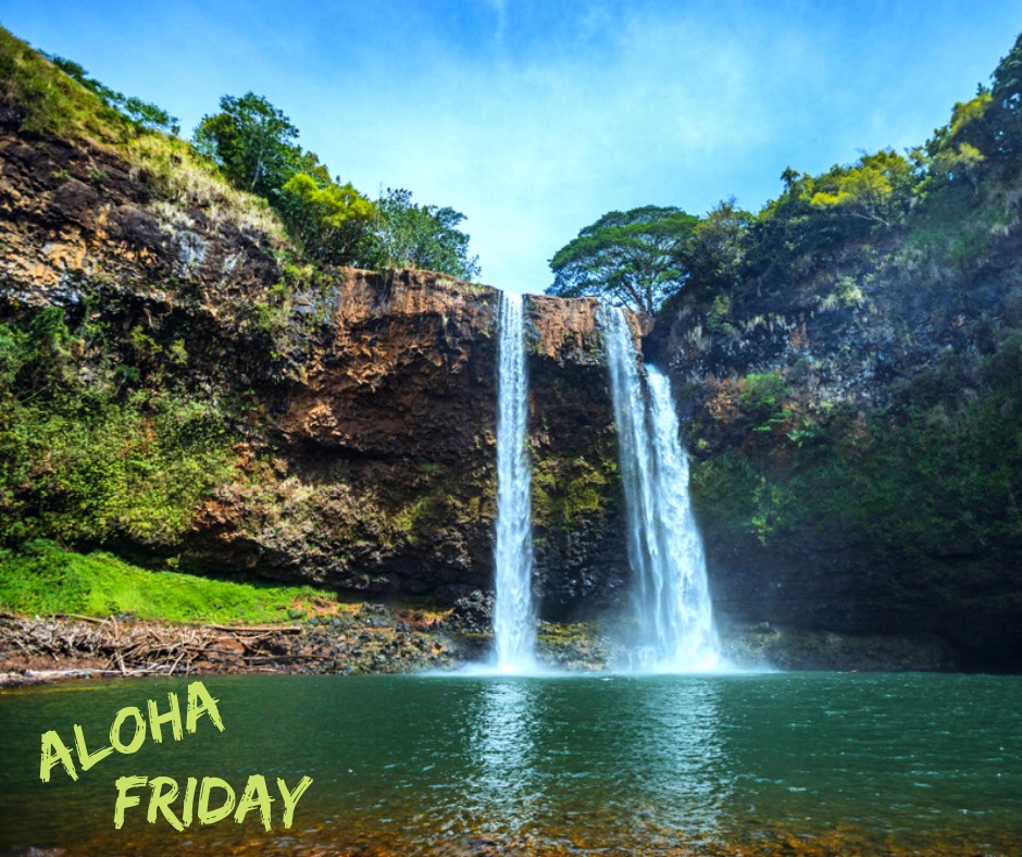 Aloha Friday! 🌴
"Nature does not hurry, yet everything is accomplished." - Lao Tzu
Come stay with us

📸 Photo: Wailua Falls, Kauai

#AlohaFriday #waterfalls #dreamvacation #vacationrental #kauai #Hawaii