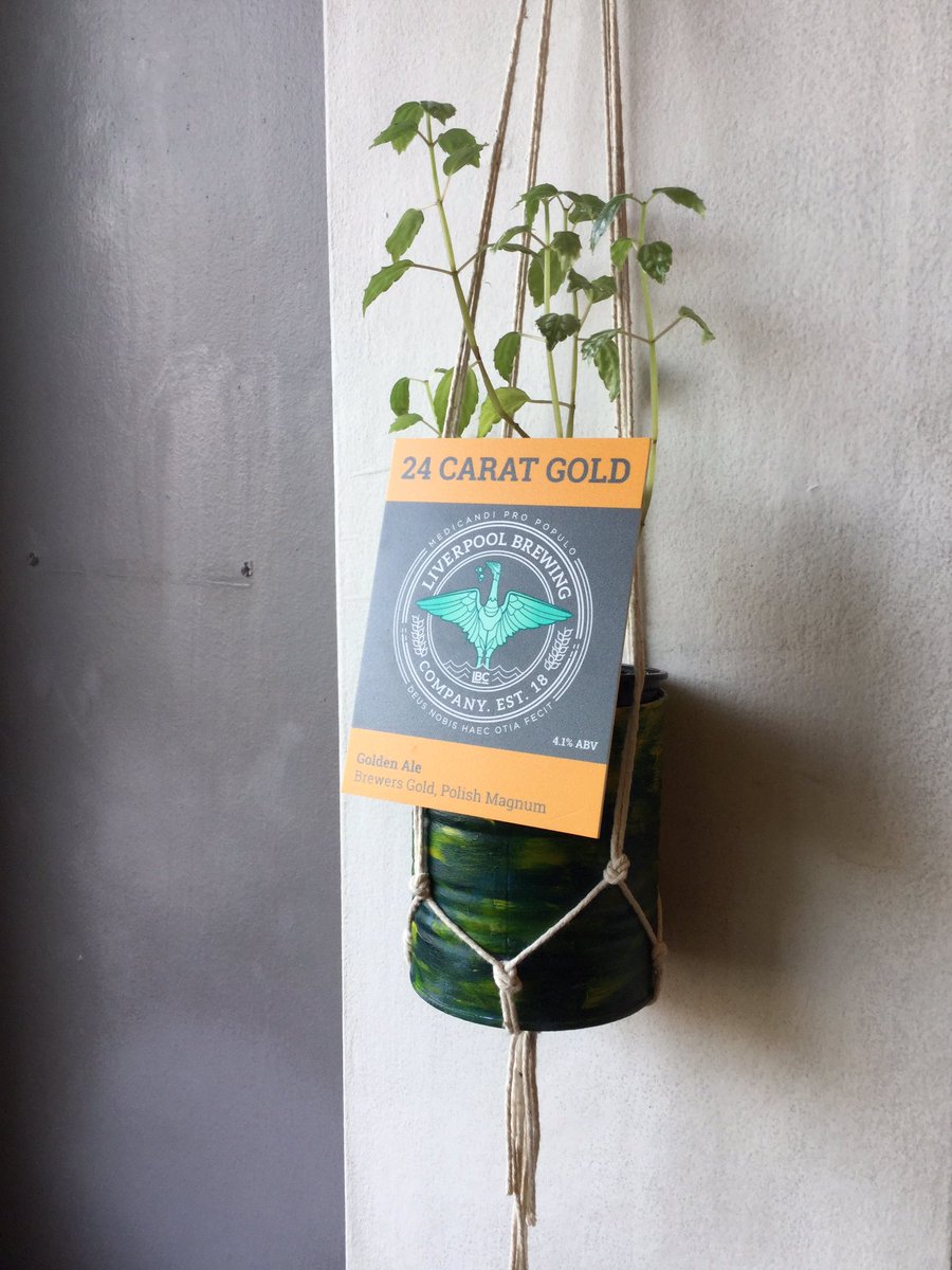 ~Guest Cask~

Hello <a href="/LiverpoolBrew/">LBC</a> 24 Carat Gold
Goodbye <a href="/TeamToxicLtd/">Team Toxic</a> Glitch