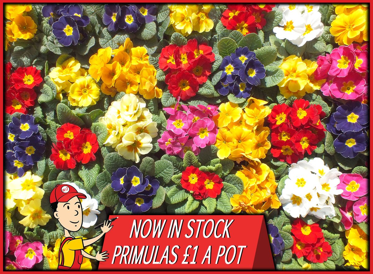 Wallpaper John (@wallpaperjohn1) on Twitter photo 