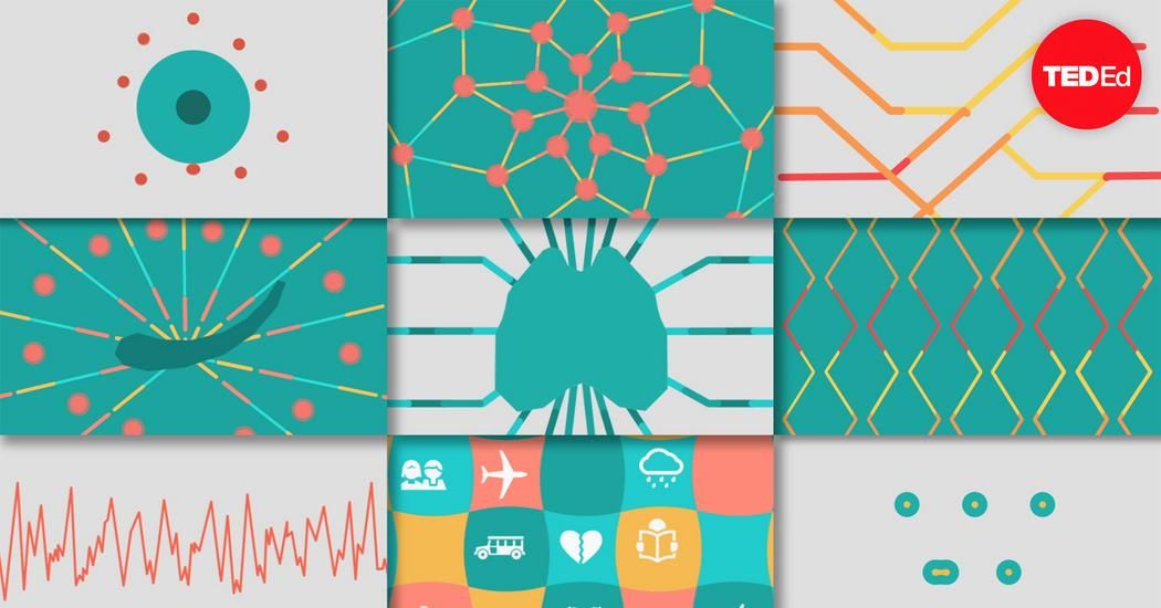 Living Well Physiotherapy tweet media