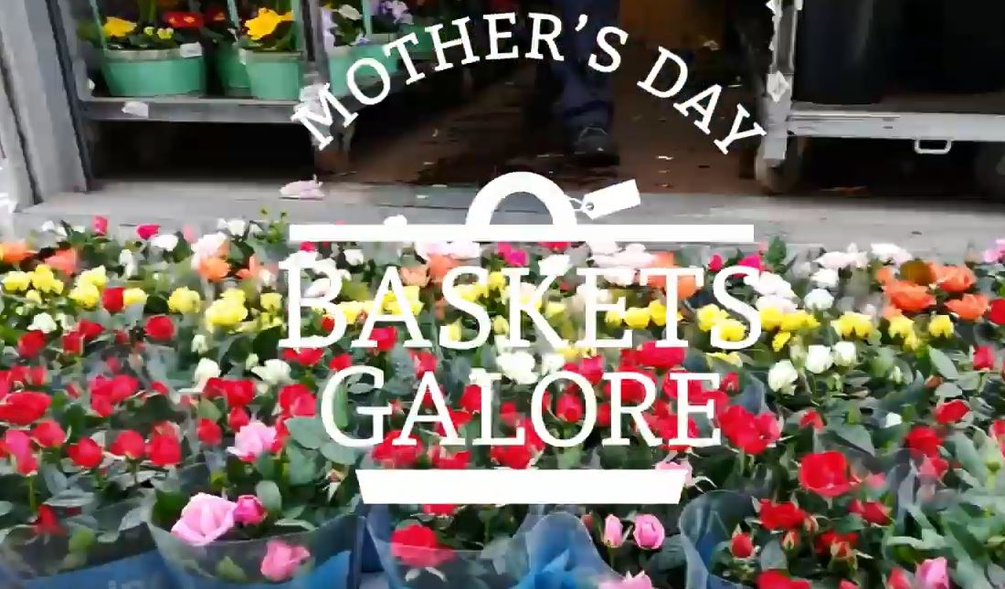 A quick look at our Mother's Day preparations, as we begin assembling lots of lovely gift baskets and flowering plants for mums and grandmothers next Sunday, 22nd March. View video > > bit.ly/2W8sCvA

#mothersday #mothersdaygifts #mothersdaygiftideas