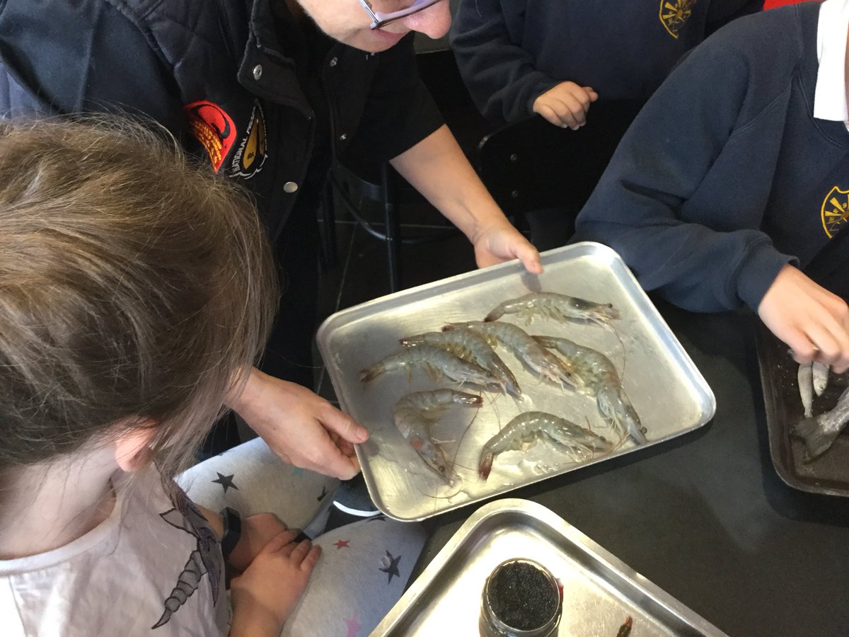 UptonWestleasch's tweet photo. Thanks to Josette and Richard from @fishandchipswg for the great session on the sustainability of our oceans. Your fish and chips are absolutely delicious! #WestleaTrips #WestleaScience #WestleaGeography #fishandchips #sustainable #MSCcertification https://t.co/RGLp30ZTkm
