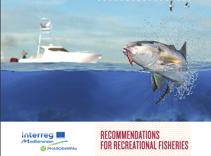 MedPAN's tweet photo. Webinar on 9/3 at 15:00 on the recommendations on the interactions between MPAs and recreational fishing in the Mediterranean. Brought to you by the @MEDProgramme #PHAROS4MPAS project (coordinated by WWF France)
Zoom webinar : https://t.co/4mZeuRKYkw (questions? phardy@wwf.fr) https://t.co/omkxHOhZHw