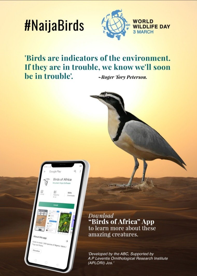 tournigeriang's tweet photo. A.P. Leventis Ornithological Research Institute #APLORI scientists visits the Nigerian Tourism Development Corporation #NTDC Zonal Office in Jos, Nigeria, in a quest to promote the study of birds through their new "Birds of Africa" App. 

https://t.co/md6oXqzUD6 https://t.co/8FC0SqJKfm