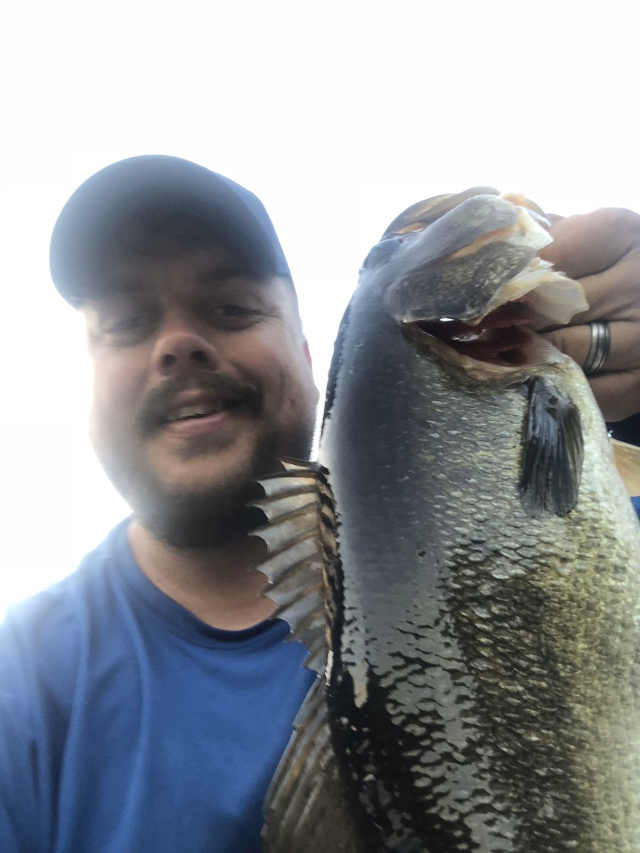 🇺🇸 Michael Johns 🇺🇸 tweet media