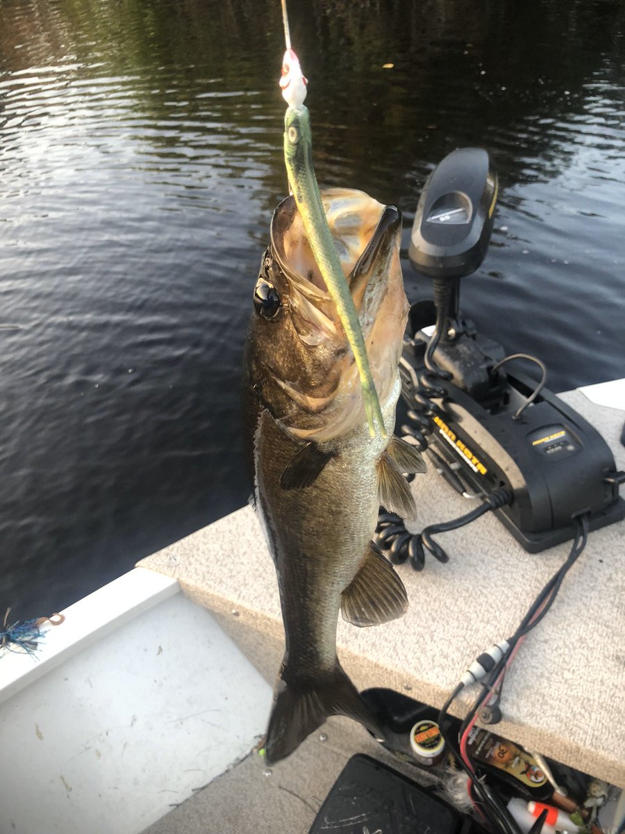 🇺🇸 Michael Johns 🇺🇸 tweet media