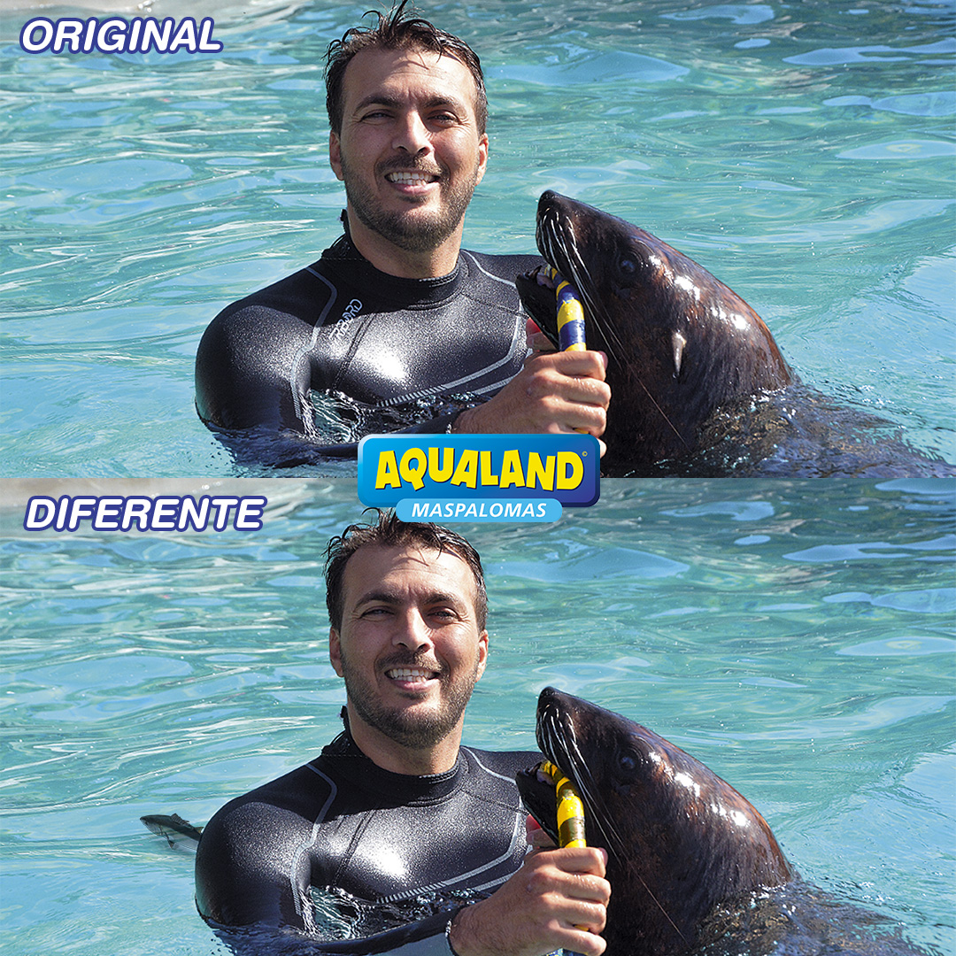 aqualandGC's tweet photo. ¿Eres capaz de encontrar las 4 diferencias? 
Lo hemos puesto difícil. 😉😁
Comenta "👍" si encuentras todas las diferencias 👏😍
https://t.co/a3Oewf9HAS

#diversión #atracciones #agua #parqueacuático #alegría #fun #attractions #water #waterpark #joy https://t.co/3fCtQKJV2d
