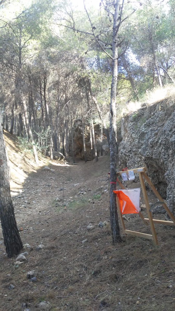 Clubcoma's tweet photo. #MOSC2020 E5 Parque Morlaco 🐿🌲
Hoy los participantes descubrirán un parque urbano muy peculiar, con elementos de una carrera de bosque, colinas, arroyos, cortados y cuevas.
@deportemalaga
@turismodemalaga
@DeportesDipMlg
@WEBFADO
@fedo_org
@DeporteAND
#Málaga2020 #sprintcamp https://t.co/uAs0k3QxRz