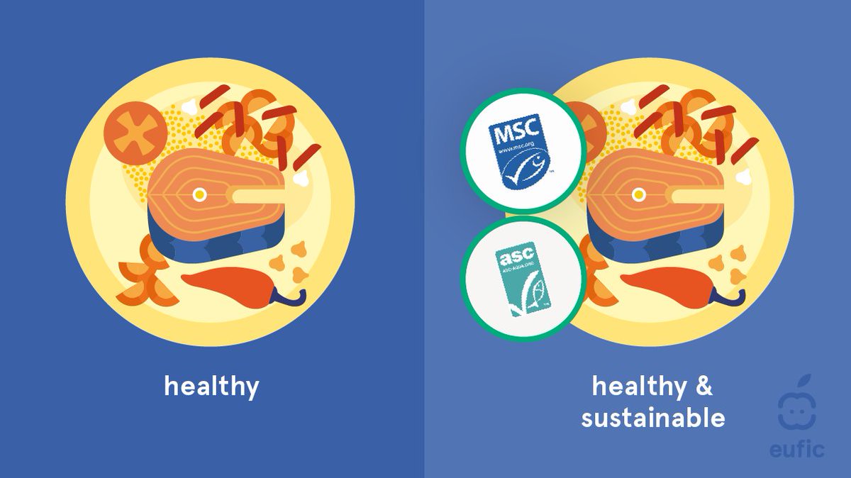 EUFIC's tweet photo. Achieving a diet that is both healthy and sustainable is possible. However, one should not automatically assume that they go hand in hand. 🎣 Take #seafood for example! #SustainableHealthyDiets https://t.co/EN3wNGu4xL