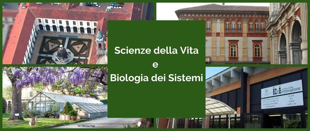 @DBIOSUnito tweet media