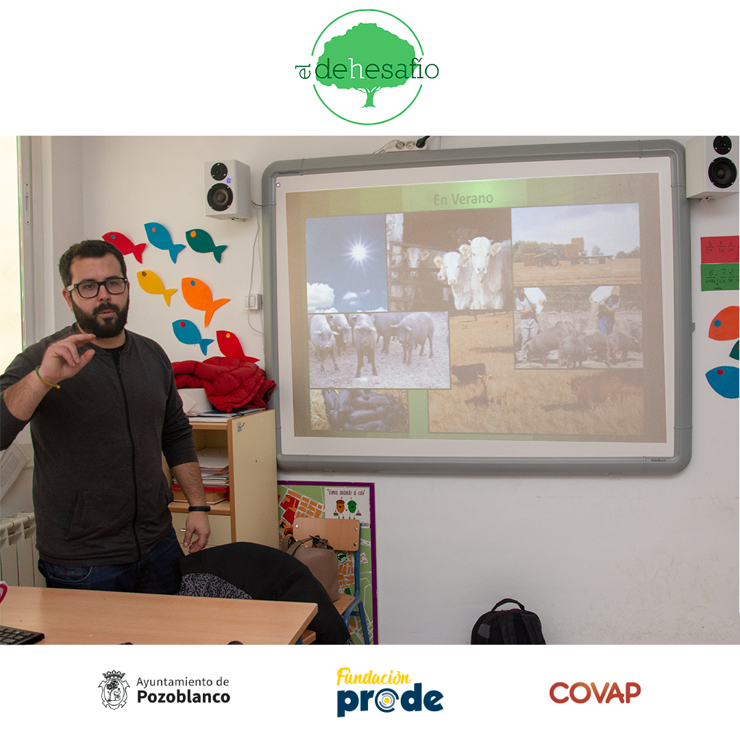 eldehesafio's tweet photo. Seguimos compartiendo más imágenes de la segunda sesión de El Dehesafío 2019/2020, cuya misión es que l@s alumn@s de los colegios conozcan qué es lo que ocurre en el campo a lo largo del año centrándonos en una explotación ganadera de dehesa 🌳🐖🐄 ¿Gracias chic@s! 😊 https://t.co/XzskrLFgdF