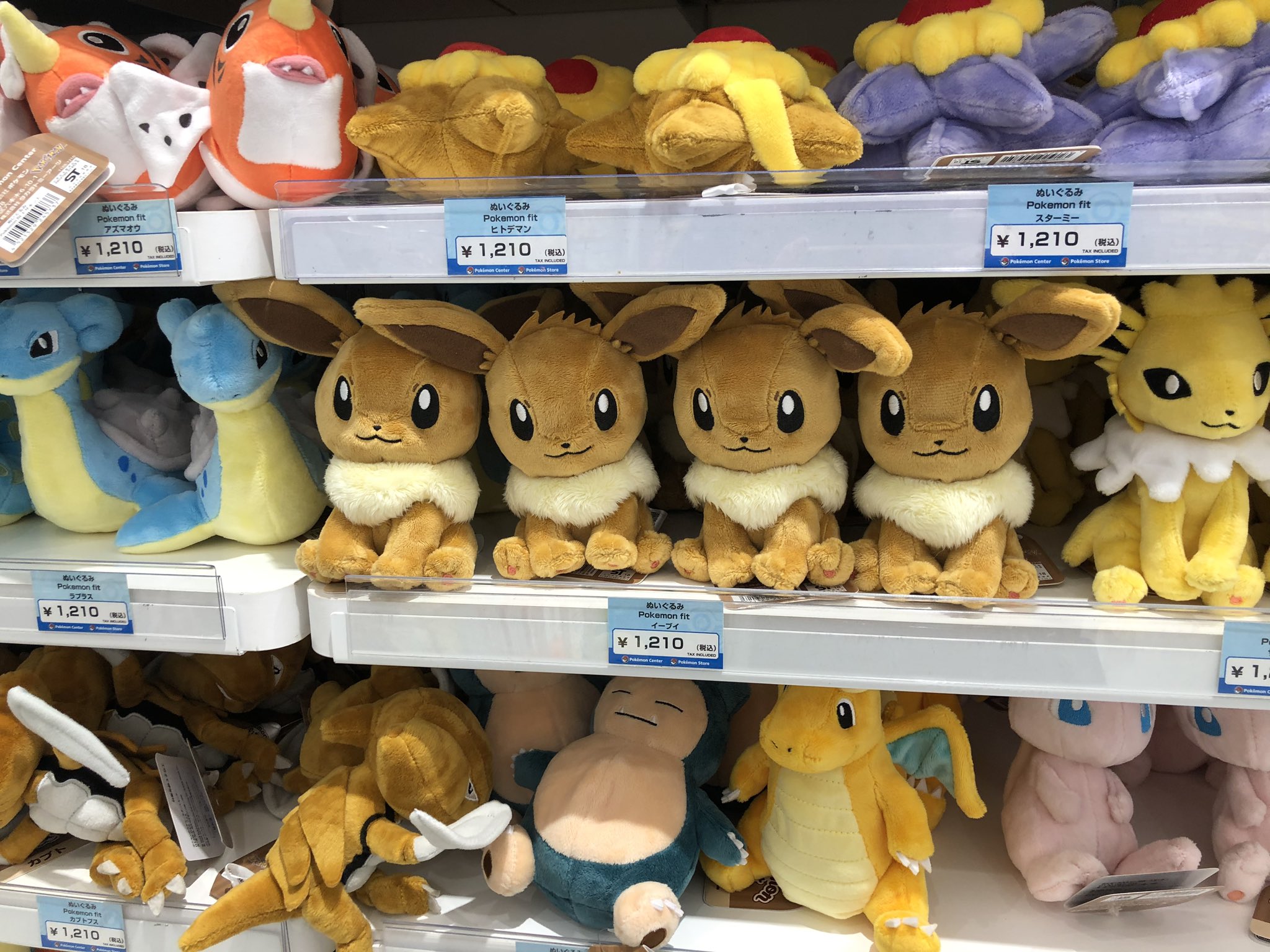 ポケモン ポケモンフィット ポケモンfit ブイズ ぬいぐるみ 限定