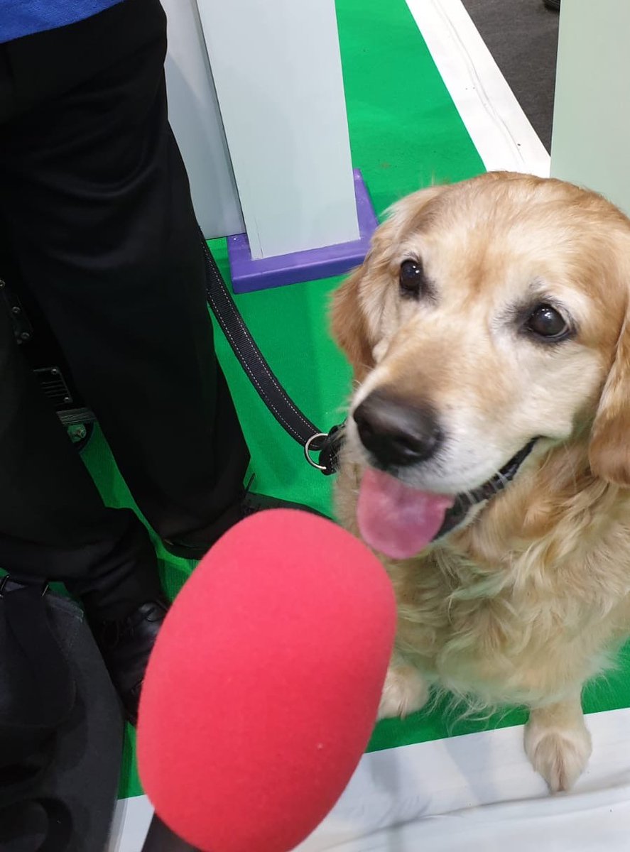 designedeventp's tweet photo. Gathering the opinions of the most important guests at #Crufts  #friyay #AVTweeps https://t.co/5qhRUh32xu