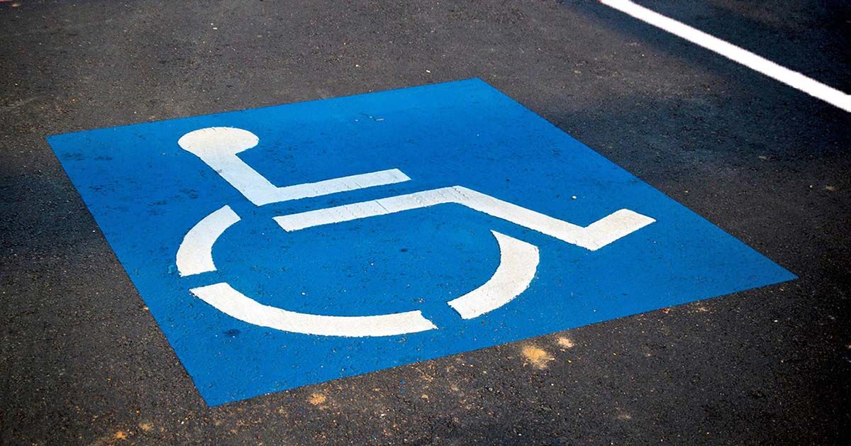 Arbolarte FEKOOR tweet media