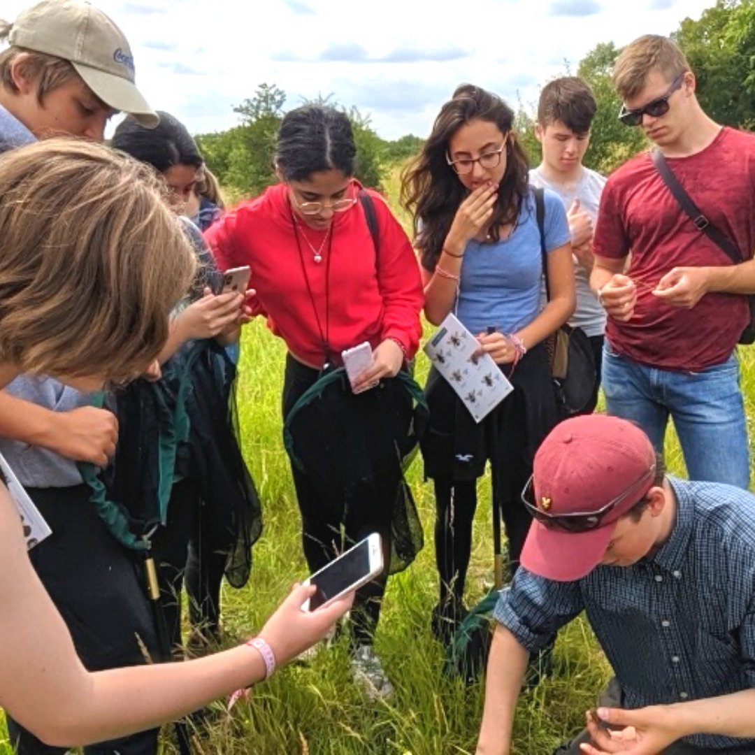 OxEarthAcad's tweet photo. Our #Oxford Food &amp; Forests Summer School will get you into the countryside to explore #biodiversity. Using @Hill_End as our base to explore @Wytham_Woods, we’ll learn how taking care of local flora and fauna can create more #sustainable #foodsystems. 

https://t.co/pa7vYsgAPl https://t.co/M5cjajooGq