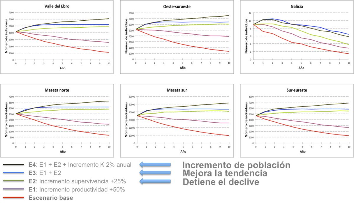 Gerard_Bota's tweet photo. The Population Viability Analisys presented by @JuanTraba1 indicates a marked short-term decline (-73% at 10 years).  Rapid extinction of small/isolated populations.  ⬇️ Survival of adult females &amp; ⬇️Low productivity key factors in future viability #FuturePAC is a critical point https://t.co/fwqQ91vZG9