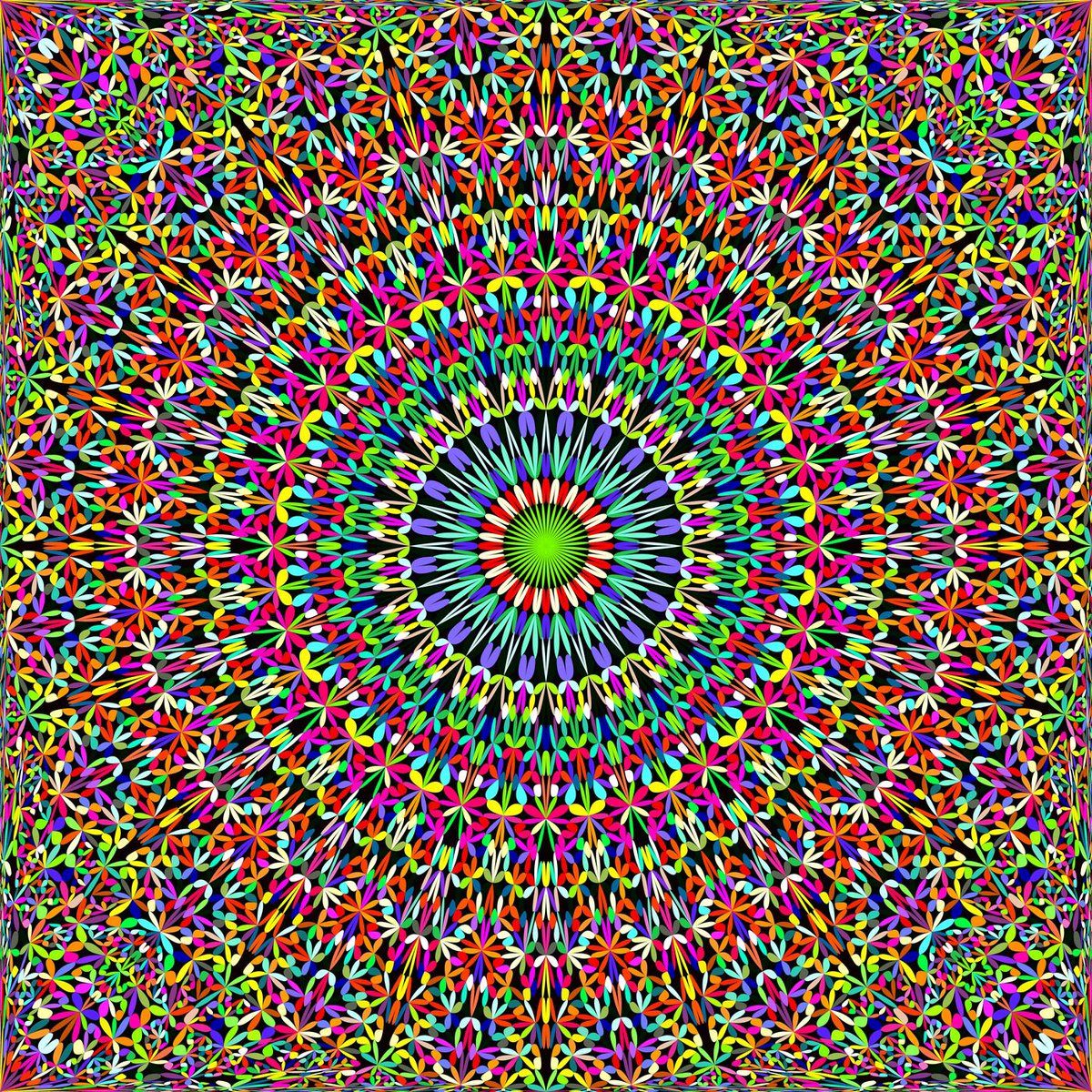 DavidZydd's tweet photo. 12 Colorful Seamless Floral Mandala Patterns #ColorfulGraphic #MulticoloredGraphic #MulticolorBackground #ColorfulBackground #GraphicDesign #design #yoga #pattern #BackgroundGraphics #graphic #MulticoloredBackgrounds #background #MulticolorDesign #geometr https://t.co/lNSV8dUO41 https://t.co/JIYqMhJYLx