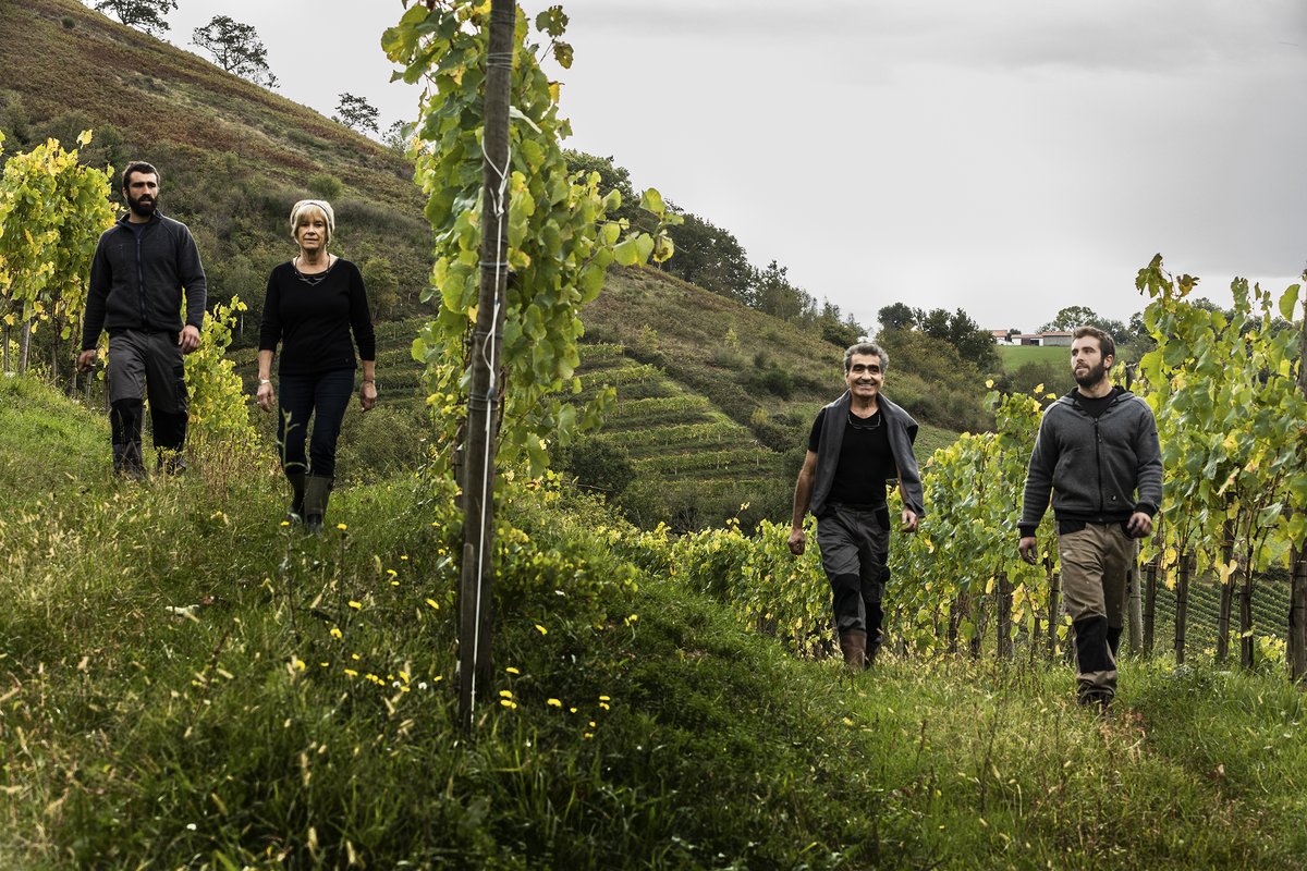 viamowines's tweet photo. Découvrez le domaine #arretxea dans le dernier coffret Collection. Et plongez au cœur de la formidable histoire de la famille Riouspeyrous, leurs terroirs et leur façon de faire le vin!🙌https://t.co/o6LOmpxnCx https://t.co/JlEE7F2jPZ