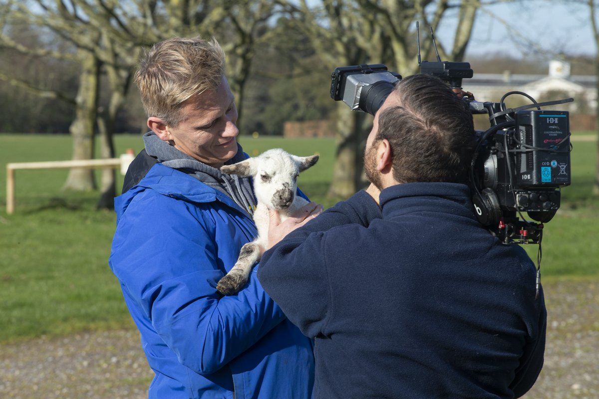 Tune in now to This Morning on ITV1 to spot our Goodwood lambs making their television debut with This Morning's vet Dr Scott Miller
@thismorning @ITV #goodwoodhomefarm #goodwood #ThisMorning https://t.co/LOqTj7rYbA