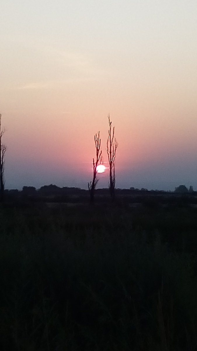 JMuzaber's tweet photo. Amaneciendo en el campo... 
#ajo https://t.co/O4LLsySqLh