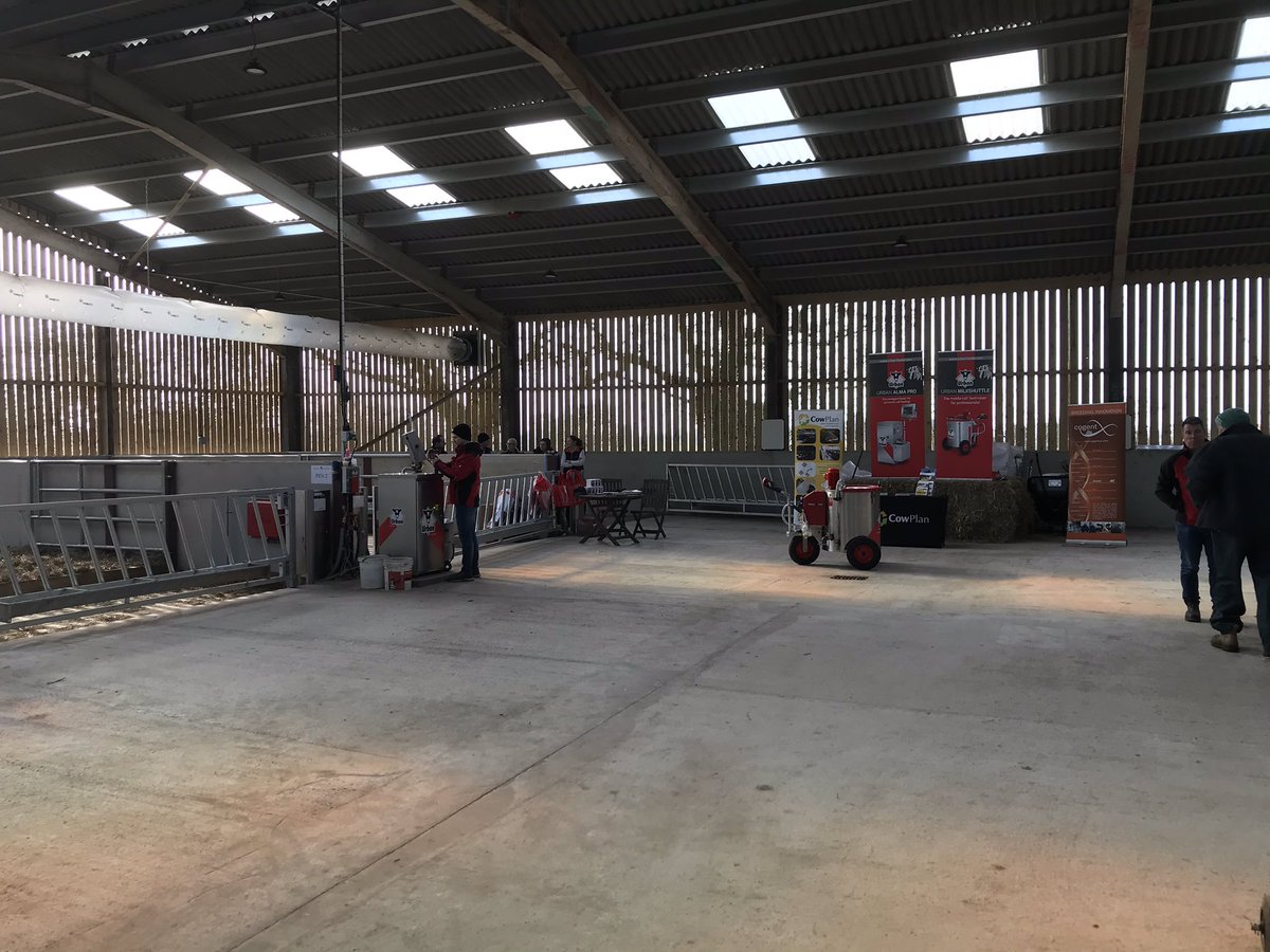 KathrynBall11's tweet photo. Suns out for another calf day out. Kings two pools new calf shed #forcedventilation #heaters urban calf feeders alma pro https://t.co/dDI0vNdc6i