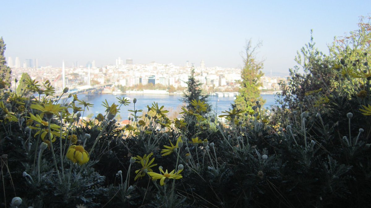 3. Cemre de toprağa düştüğüne göre bahar yaklaştı.

#busehirdeturistolsam #cemre #istanbulüniversitesi #alfredheilbronnbotanikbahçesi #şişhane #galatakulesi #sarıpapatya #haliç #haliçmetroköprüsü