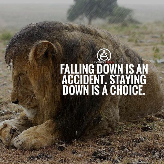 AmbitionCircle's tweet photo. Type”YES” if you Agree !!!
•
Tag someone below 👇🏻👇🏻 https://t.co/Yn2OAXkk6R https://t.co/M6yZtOyzA5
